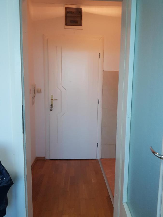 Central Apartment With 24-7 Building Security 노비사드 외부 사진